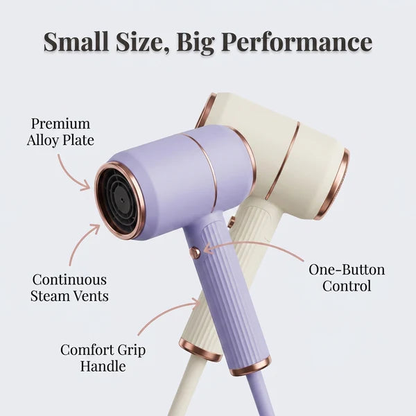 Mini Portable Handheld Garment Steamer
