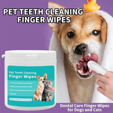 Disposable Pet Cleaning Products Teeth Cleaning